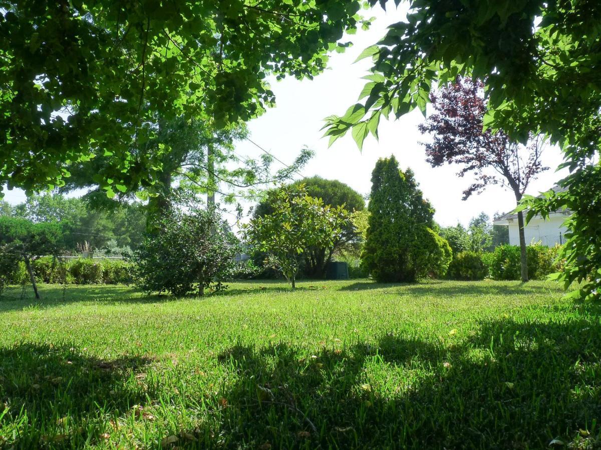 Casa Da Balseira Villa อาเวโร ภายนอก รูปภาพ